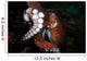Giant Pacific Octopus Enteroctopus Wall Decal Design 3
