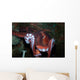 Giant Pacific Octopus Enteroctopus Wall Decal Design 2