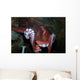 Giant Pacific Octopus Enteroctopus Wall Decal Design 2