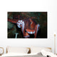 Giant Pacific Octopus Enteroctopus Wall Decal Design 2