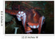 Giant Pacific Octopus Enteroctopus Wall Decal Design 2