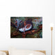 Giant Pacific Octopus Enteroctopus Wall Decal Design 1