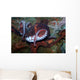 Giant Pacific Octopus Enteroctopus Wall Decal Design 1