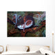 Giant Pacific Octopus Enteroctopus Wall Decal Design 1