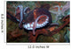 Giant Pacific Octopus Enteroctopus Wall Decal Design 1