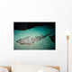 Shovelnose Guitarfish Eastern Pacific Wall Decal