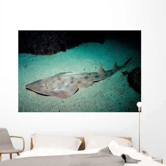 Shovelnose Guitarfish Eastern Pacific Wall Decal