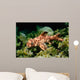 Horn Shark Pacific Ocean Wall Decal