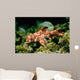 Horn Shark Pacific Ocean Wall Decal