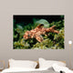 Horn Shark Pacific Ocean Wall Decal