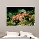 Horn Shark Pacific Ocean Wall Decal