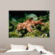 Horn Shark Pacific Ocean Wall Decal