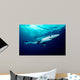 Blue Shark Swims near Wall Decal