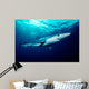 Blue Shark Swims near Wall Decal