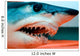 Head Shortfin Mako Shark Wall Decal