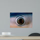 Close-up Eye Blue Shark Wall Decal