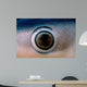 Close-up Eye Blue Shark Wall Decal