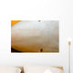 Close-up Ampullae Lorenzini Blue Wall Decal