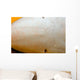 Close-up Ampullae Lorenzini Blue Wall Decal