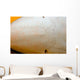 Close-up Ampullae Lorenzini Blue Wall Decal