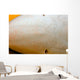 Close-up Ampullae Lorenzini Blue Wall Decal
