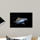 Bonnethead Shark Sphyrna Tiburo Wall Decal