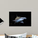 Bonnethead Shark Sphyrna Tiburo Wall Decal