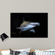Bonnethead Shark Sphyrna Tiburo Wall Decal