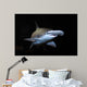 Bonnethead Shark Sphyrna Tiburo Wall Decal