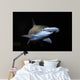 Bonnethead Shark Sphyrna Tiburo Wall Decal