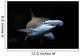 Bonnethead Shark Sphyrna Tiburo Wall Decal