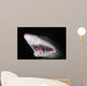 Sand Tiger Shark Carcharias Wall Decal