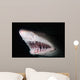 Sand Tiger Shark Carcharias Wall Decal