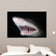 Sand Tiger Shark Carcharias Wall Decal