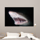 Sand Tiger Shark Carcharias Wall Decal