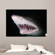 Sand Tiger Shark Carcharias Wall Decal