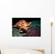 Triton's Trumpet Eats Crown-of-thorns Wall Decal