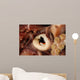 Beak Humboldt Squid Sea Wall Decal Design 2