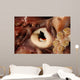 Beak Humboldt Squid Sea Wall Decal Design 2