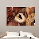 Beak Humboldt Squid Sea Wall Decal Design 2