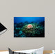 Crown-of-thorns Sea Star Shallow Wall Decal