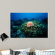 Crown-of-thorns Sea Star Shallow Wall Decal