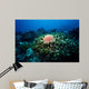 Crown-of-thorns Sea Star Shallow Wall Decal