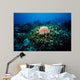Crown-of-thorns Sea Star Shallow Wall Decal
