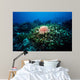 Crown-of-thorns Sea Star Shallow Wall Decal