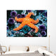 Ochre Starfish California Pacific Wall Decal Design 2