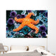 Ochre Starfish California Pacific Wall Decal Design 2