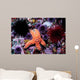 Ochre Starfish California Pacific Wall Decal Design 1