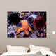 Ochre Starfish California Pacific Wall Decal Design 1