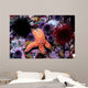 Ochre Starfish California Pacific Wall Decal Design 1